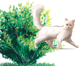 Brooksfield photo left