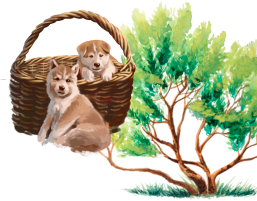 Brooksfield photo right